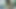 インディアンストリップ