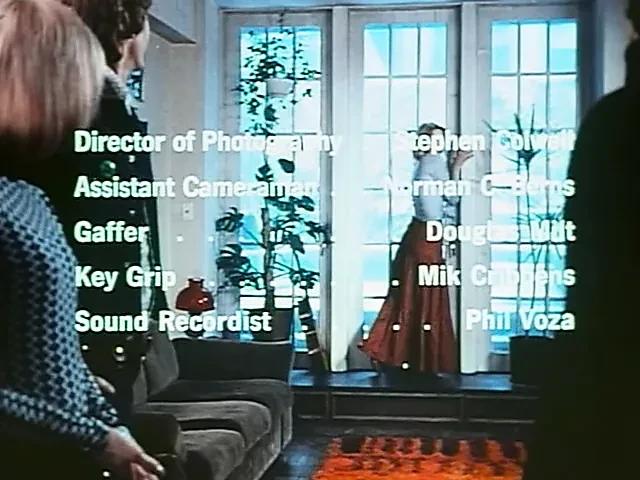Confessions of a Young American Housewife (1974)