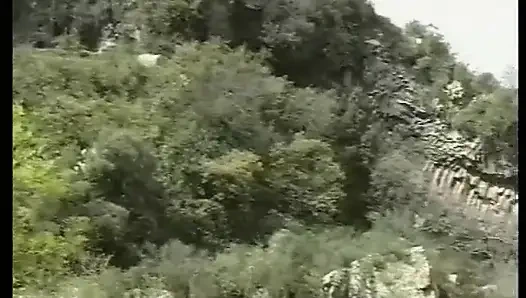 Kompilasi semua video yang ada.