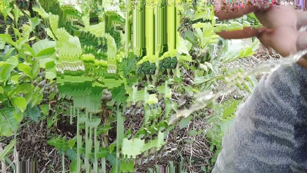 一個年輕男人獨自待在稻田裡的庭園