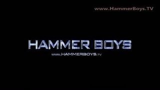 Omar Selim di Hammerboys TV