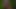 我が家のリリアナsop
