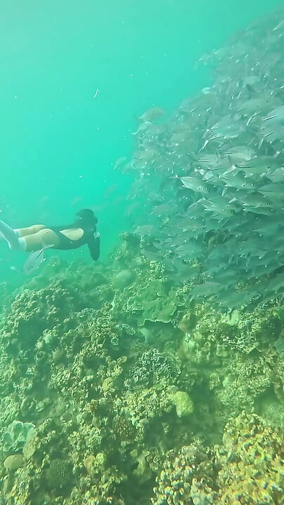 Im Your Little Mermaid