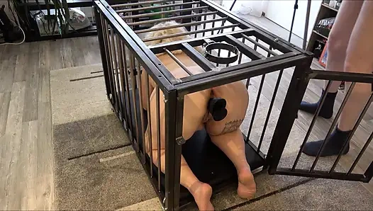 Ja Meister Ich Gehöre Dir