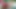 Luna Luxe Sloppy Bg