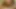 Kocam için nazik sikiş - anal dildo mastürbasyonu