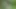 2 dirty tgirls sluts fucking in the woods