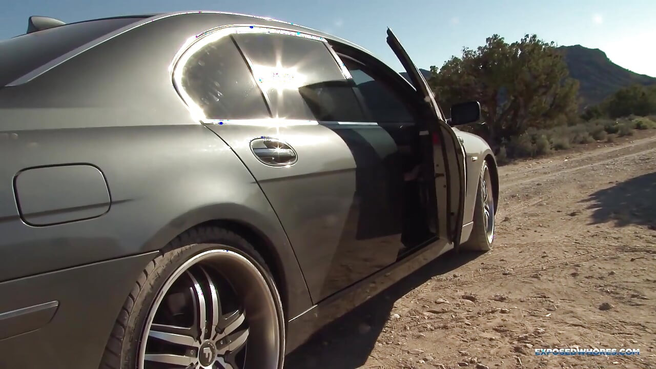 Autostoppista sega di ashton Haze