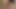 Chickpass - isabella kullanışlı bir sıcak pov oral seks verir