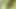 My garden has a big dick