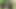Desi hot forest in my home.