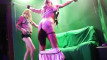 Pregled videozapisa
