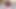Teen Otaku with round ass and fleshy vagina gets fucked by fake anime lover.