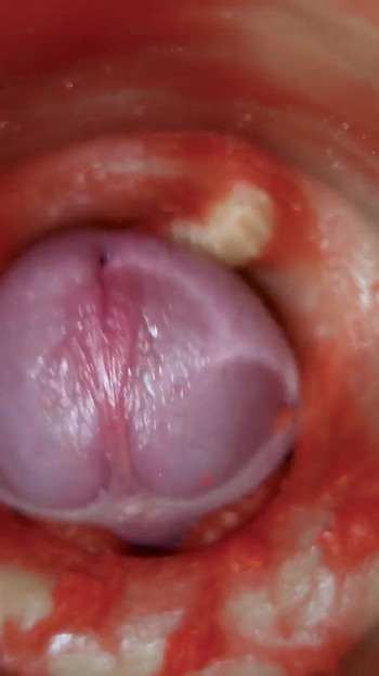 Kulcsfontosságú pillanat a "Cum sperma nélkül. Kiváló belső kamera. 4K"