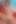 Land lady porno yapımcısının kirasını düşürmek için sert porno çekiyor