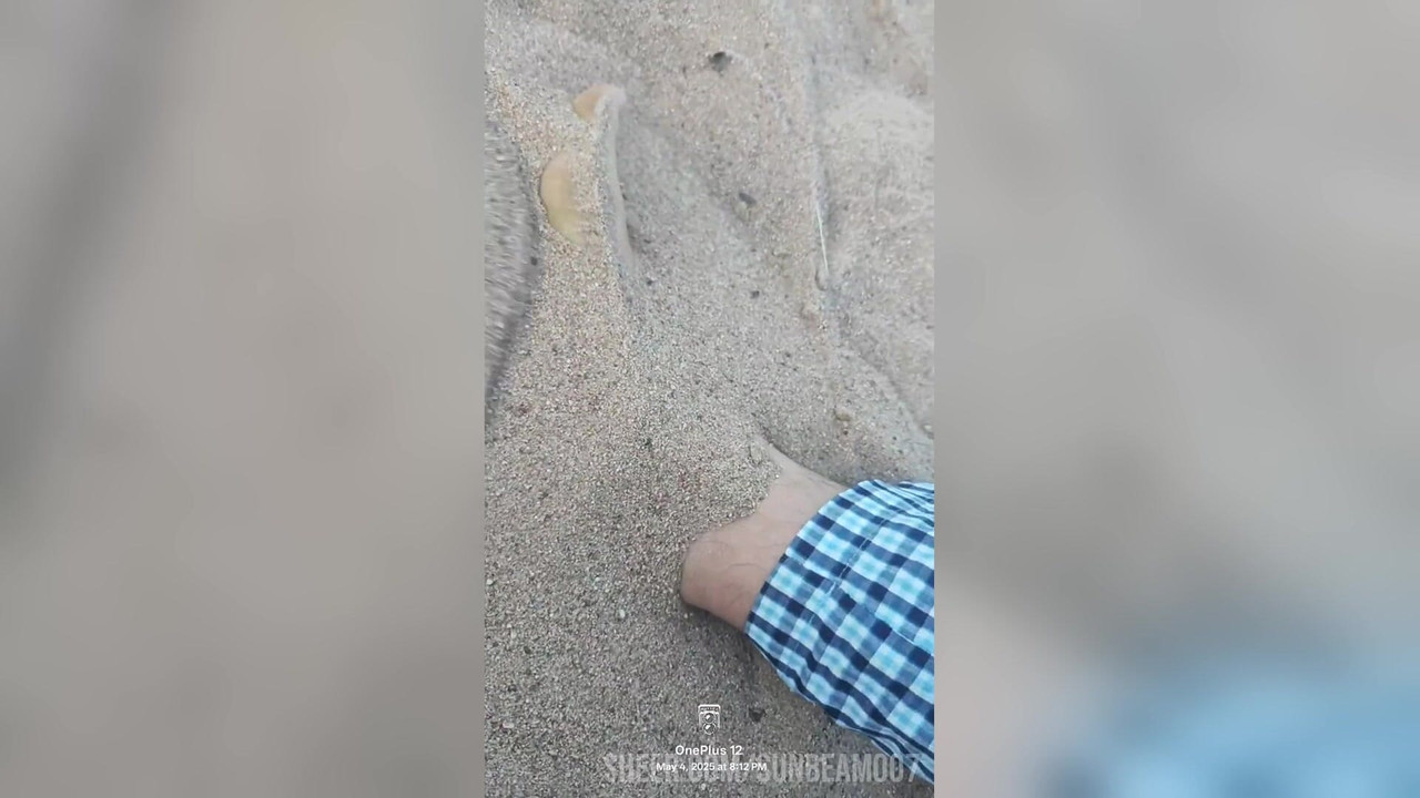 Feet in the sand