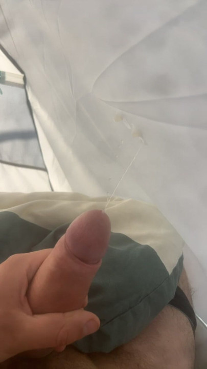 Coli di tenda