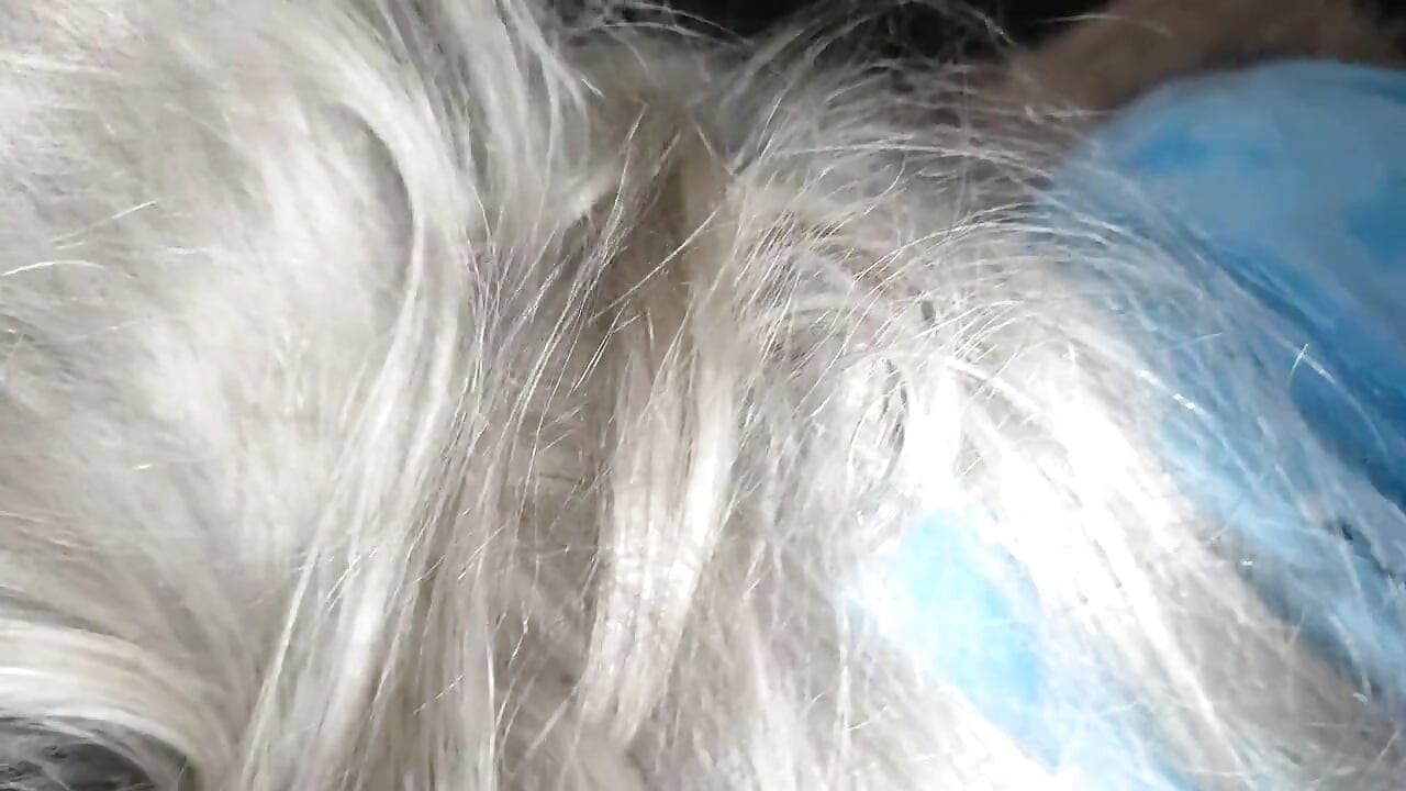 Μικρή πριγκίπισσα με πιτζάμες μονόκερου πιπώνει πούτσο!