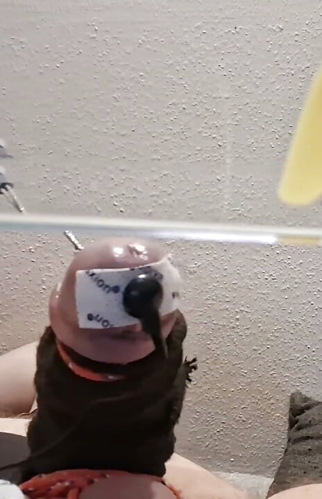 hfo solo estim cumshot electro cbt