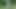 transvestite man garden outdoors gape fisting anal dildo 26