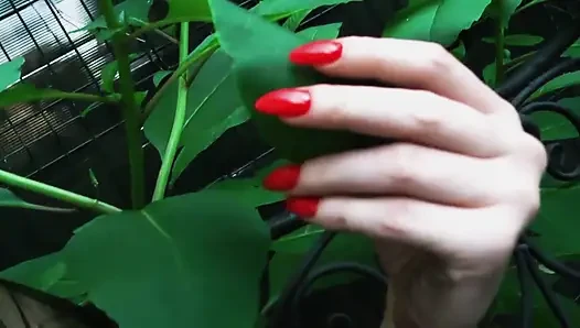 İtaatkar tarafını kucakla