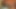 Super cute gay couple has tender oral sex with violent cumshot