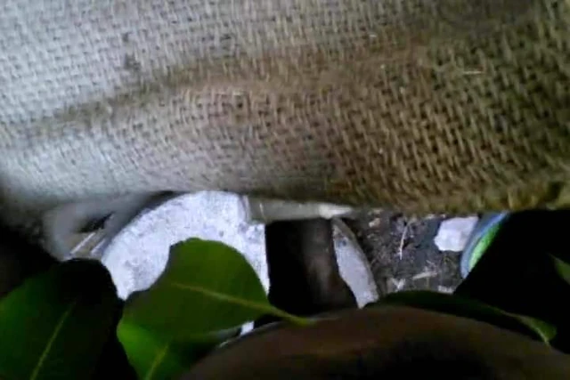 Desi Boy Sex With Plastic Holl