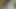 アジアン・エンジェル27600