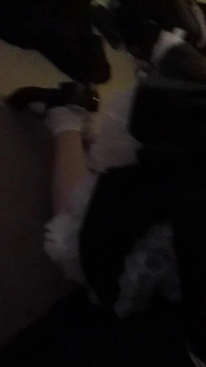 maid licking up cum