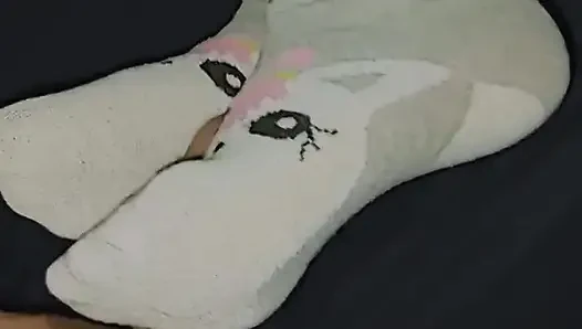 Kaus kaki unicorn kecil yang nakal dengan kaus kaki muncrat