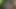 私はとても遊び心があります Rn