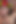 Shemale Sexy Orgy