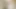 Katy Perry nude on her latest clip Daisies