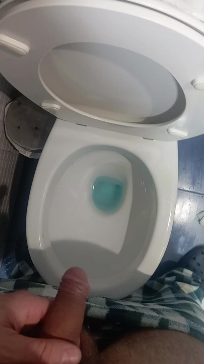 Pee in the bathroom