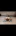 Doppelpen etrations-Dildo-Yoga
