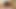 Lusty babes with big hooters have threesome with one stud