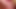 Edging blowjob and frenulum licking with cumshot