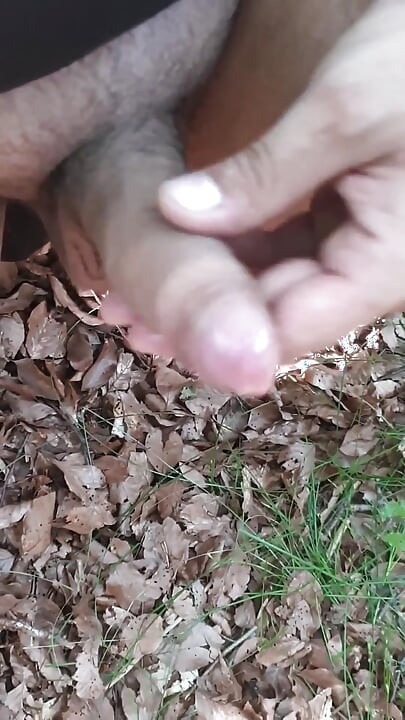 I'm Walking Through the Woods Naked. Looking for a Place to Jerk off!