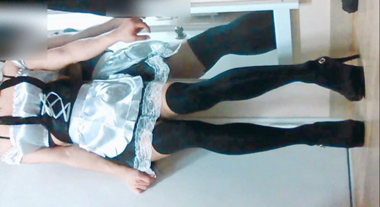 Pregled videozapisa