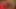 q.avi.mp4