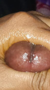 Pratinjau video