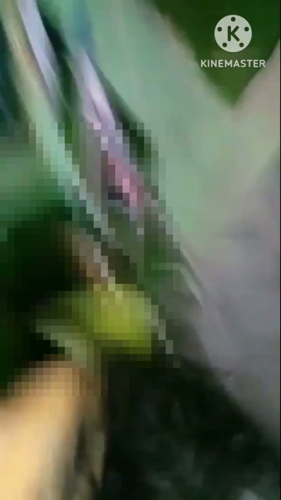 Local aunty sexy aunty big ass aunty Kolkata aunty local aunty pussy sexy stepmom bangla sex hindi Kolkata | Clip 1