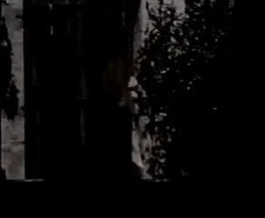 Skryjte holky