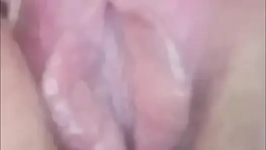 He shows his shell up close