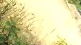 Засвет хуя - девушки, загорающие на солнце (короткий клип)