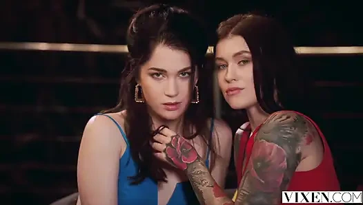 Vixen Meeting New People