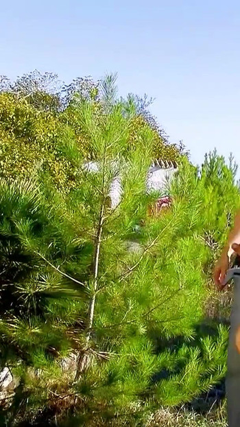 Must-see moment from "FIT MOM STACY IN LEGGINGS TALKED INTO PUBLIC FUCK BY FRIEND OF SON"
