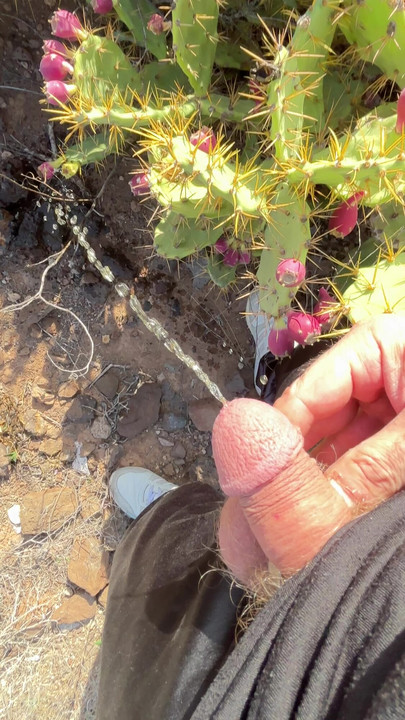 大自然中的小便