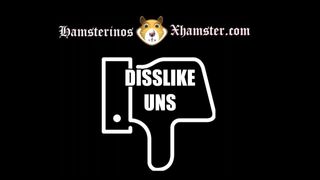 Fuer unsere DISSLIKER!