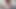 Horny Brunette Teen POV Outdoor Blowjob